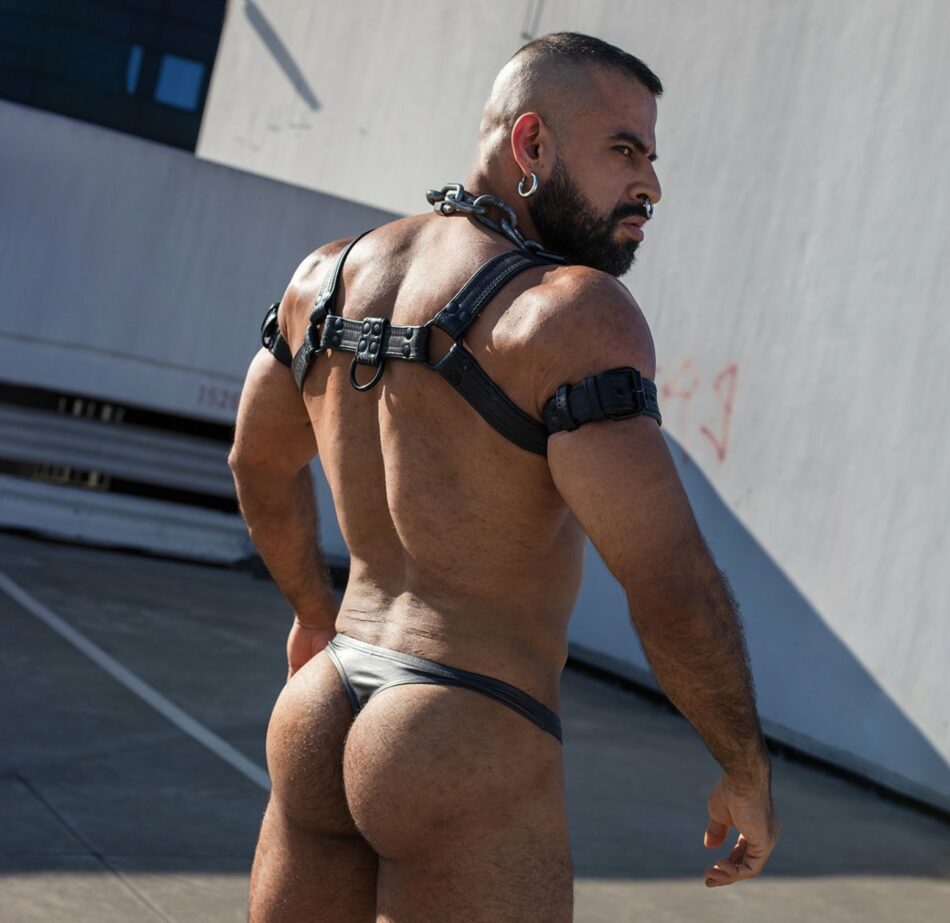 Jak Willis 44