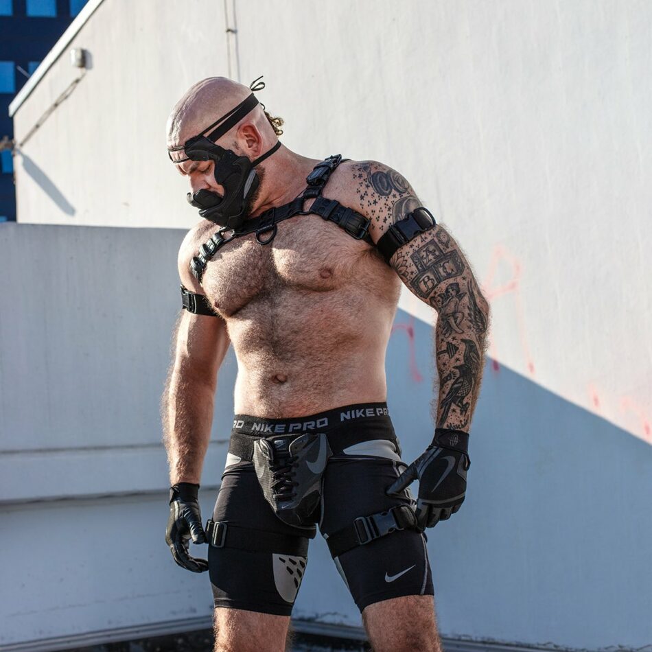Jak Willis 7